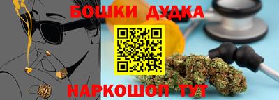 apvp Обь