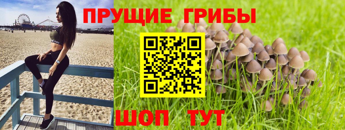 даркнет сайт  Вход с VPN  Сафоново  Галлюциногенные грибы ЛСД 